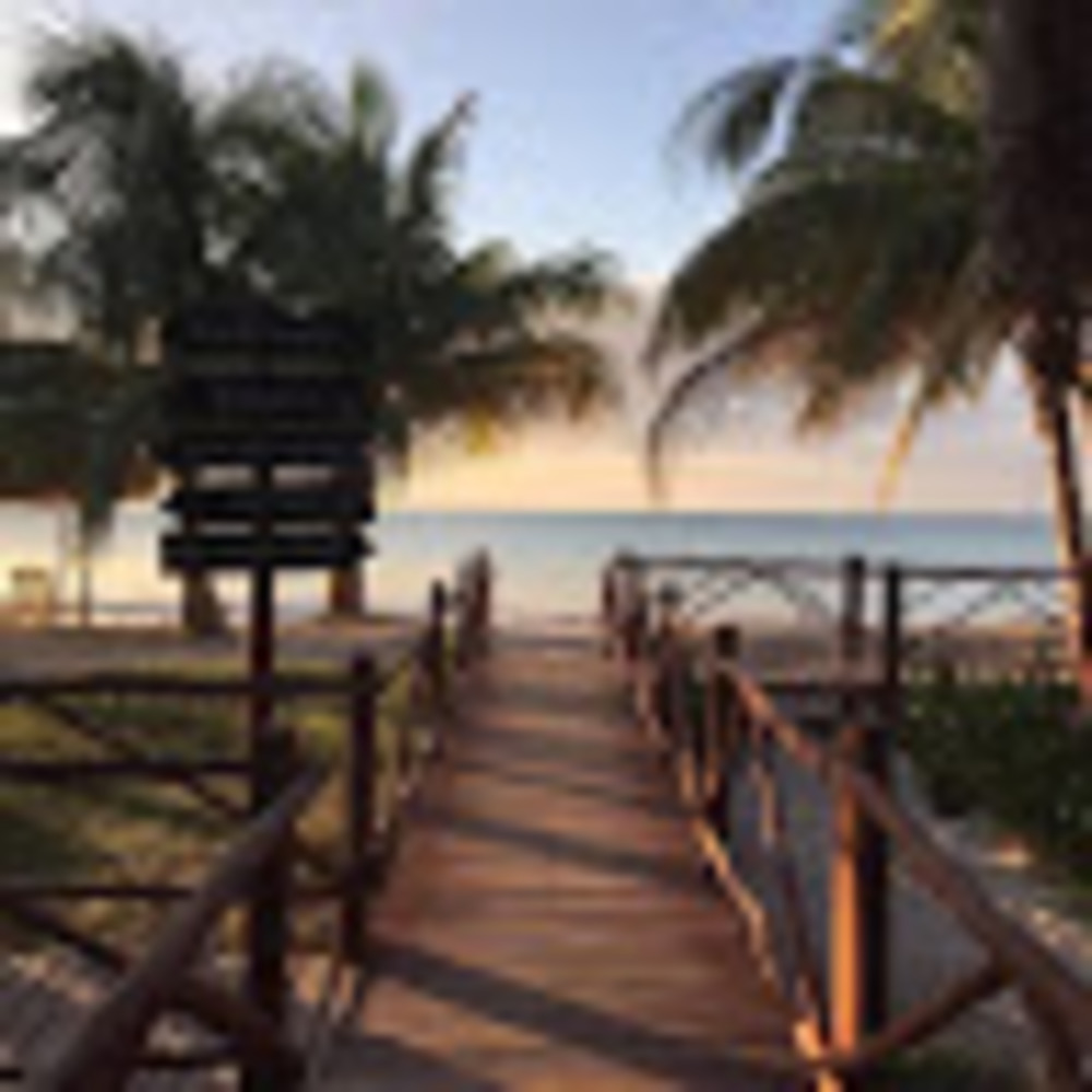 Meet your Posher, Luna